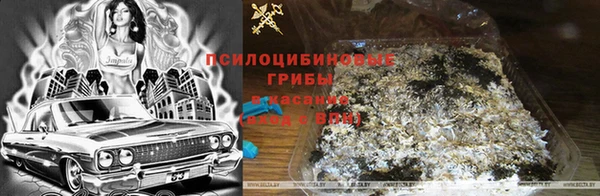 ПСИЛОЦИБИНОВЫЕ ГРИБЫ Балабаново